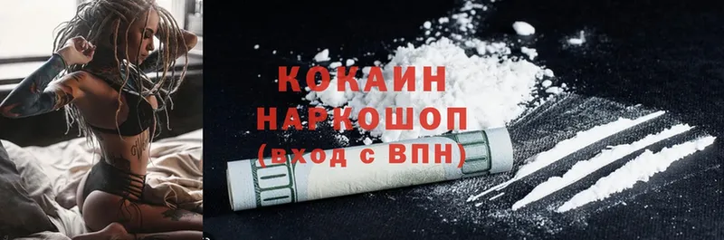 Купить наркотики цена Пучеж Гашиш  Cocaine  Меф мяу мяу  Канабис 